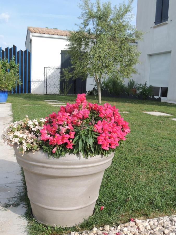 Laubertiere Bed and Breakfast Marennes  Εξωτερικό φωτογραφία